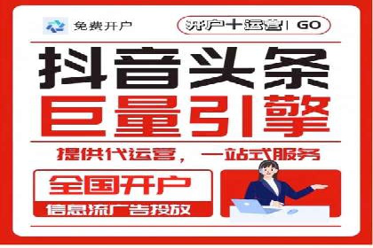 某行业sem代运营推广公司成功案例分析